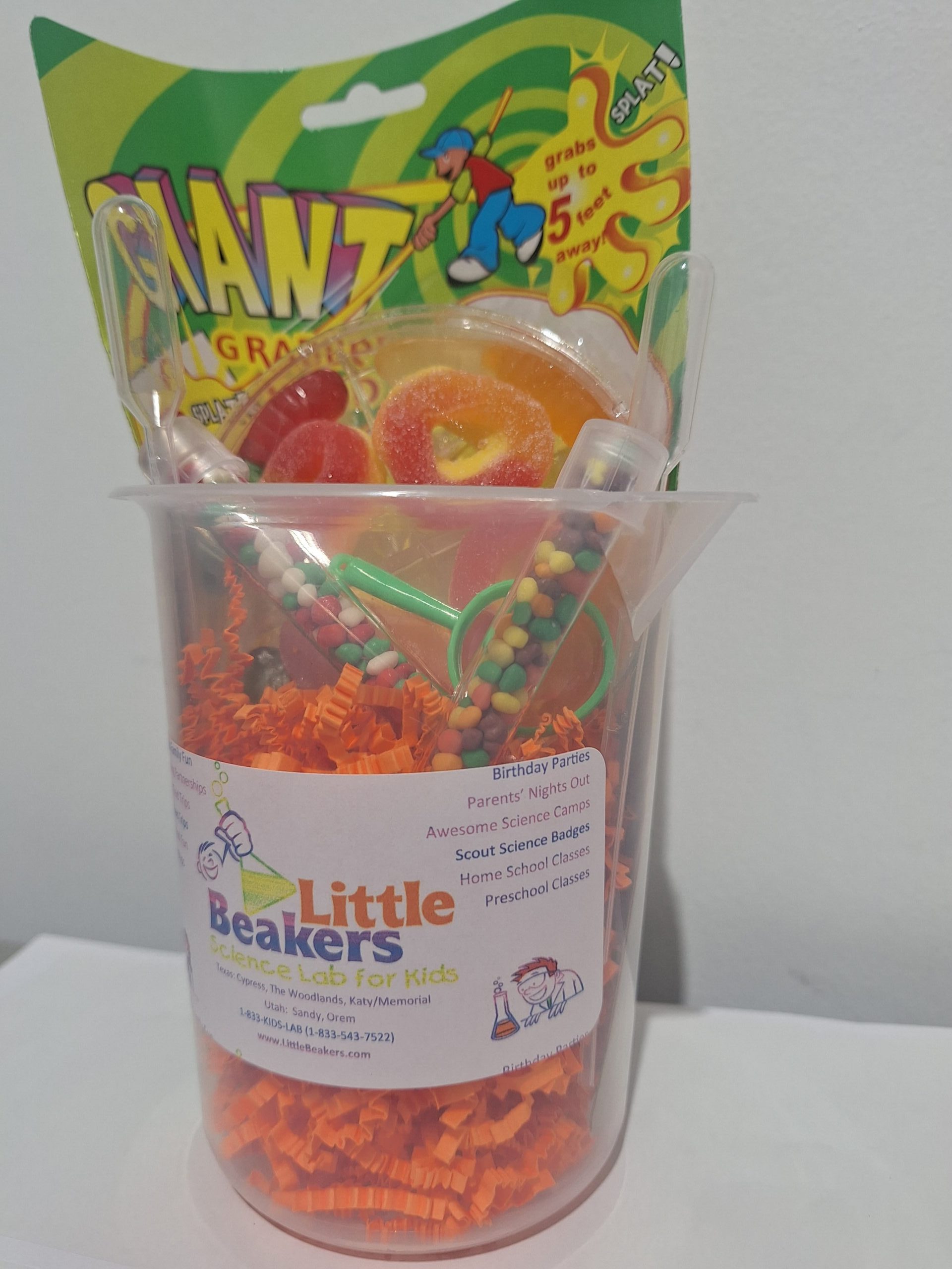 PartyFavor (1)