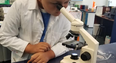 Science Camps 2 WhatsBuggingYouCampPic